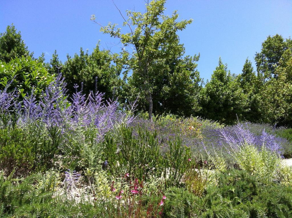 Il Casale Di Giulia Διαμέρισμα Sirolo Εξωτερικό φωτογραφία