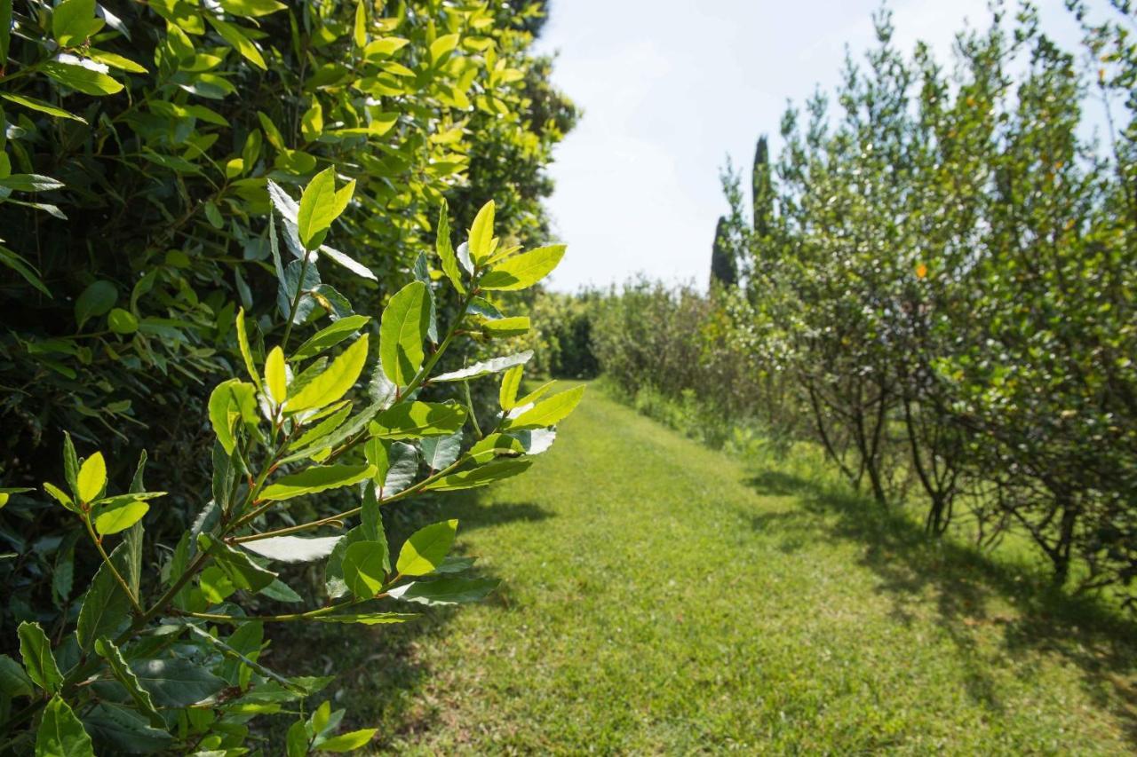 Il Casale Di Giulia Διαμέρισμα Sirolo Εξωτερικό φωτογραφία